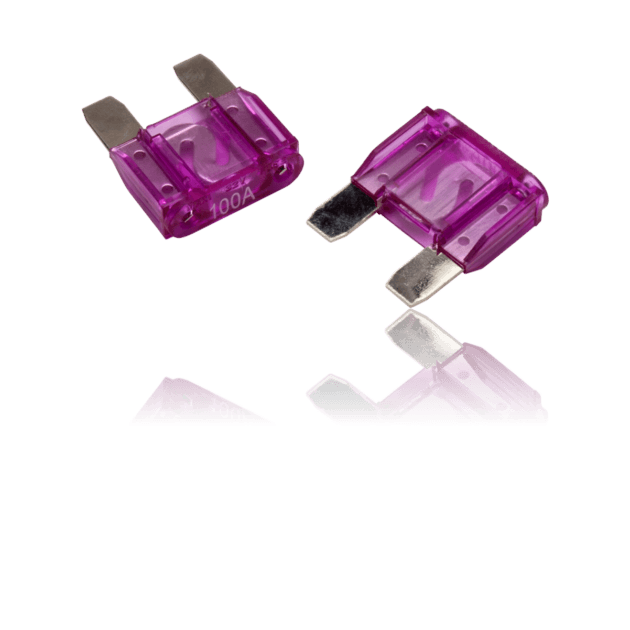RFFM100 – Rockford Fosgate – 100 amp Maxi Fuses