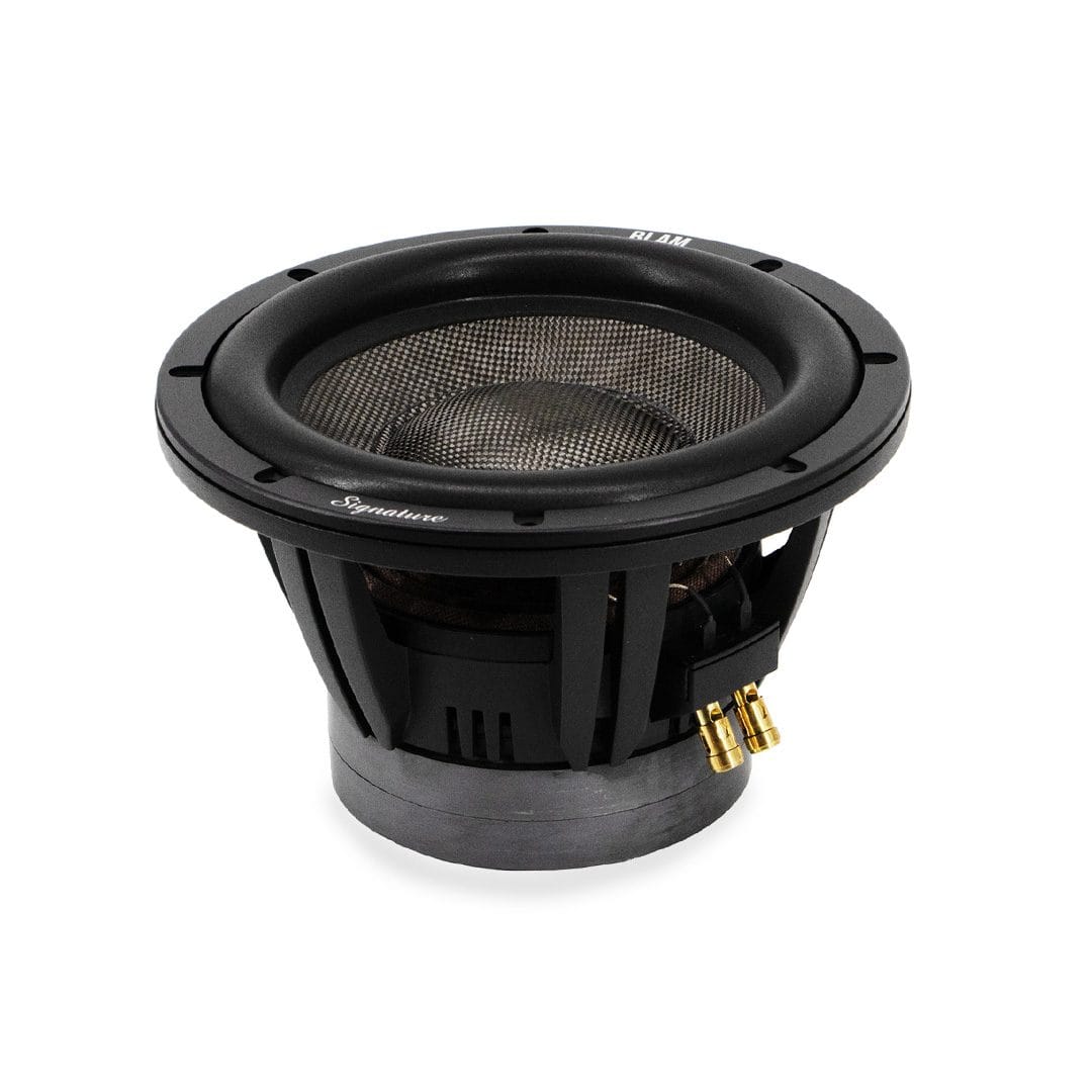 BLAM Woofer Super Sub 10 - subwoofer