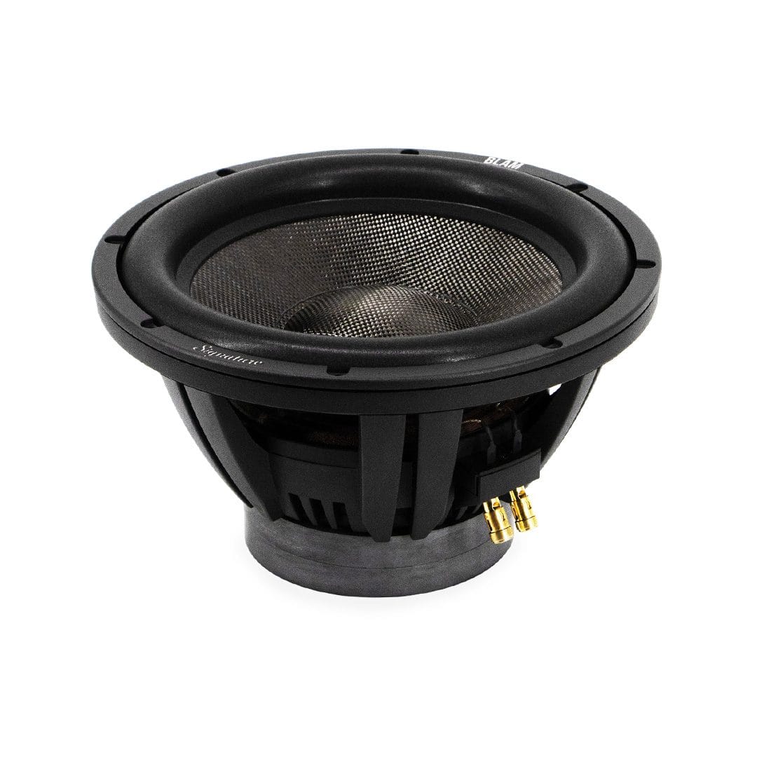 BLAM Super Sub 12 - subwoofer