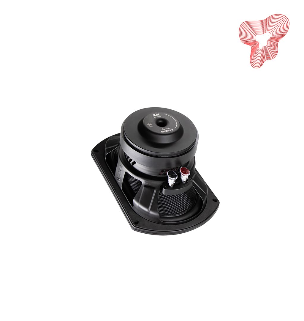 BLAM Super Sub 812 - subwoofer - Image 2