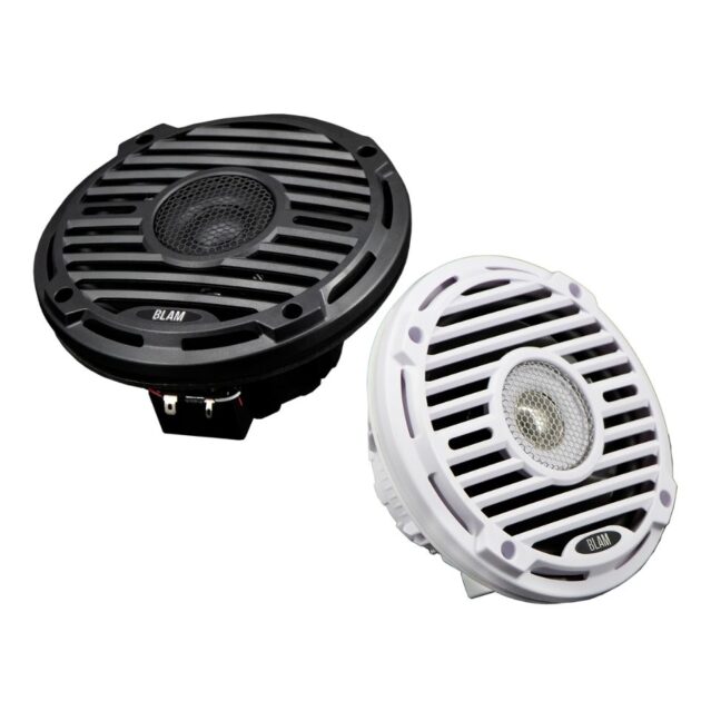 BLAM WAVE6W - coaxial speaker system