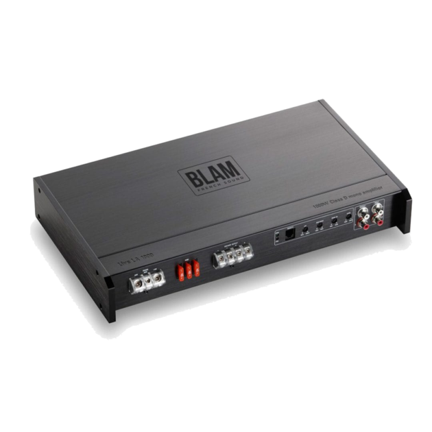 BLAM LA 1000 - amplifier