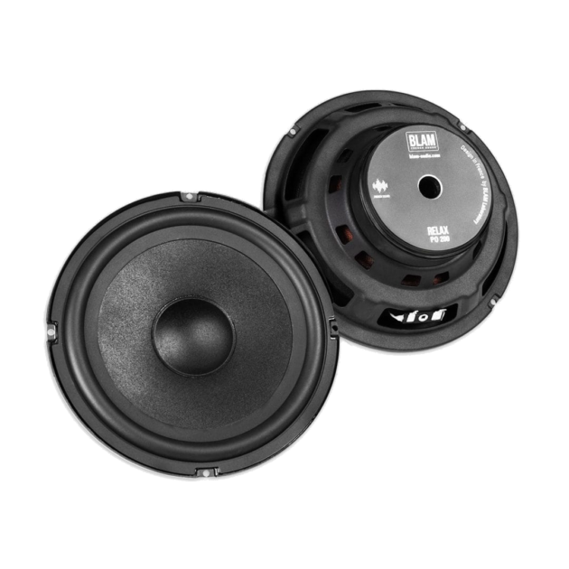BLAM PO200 - woofer
