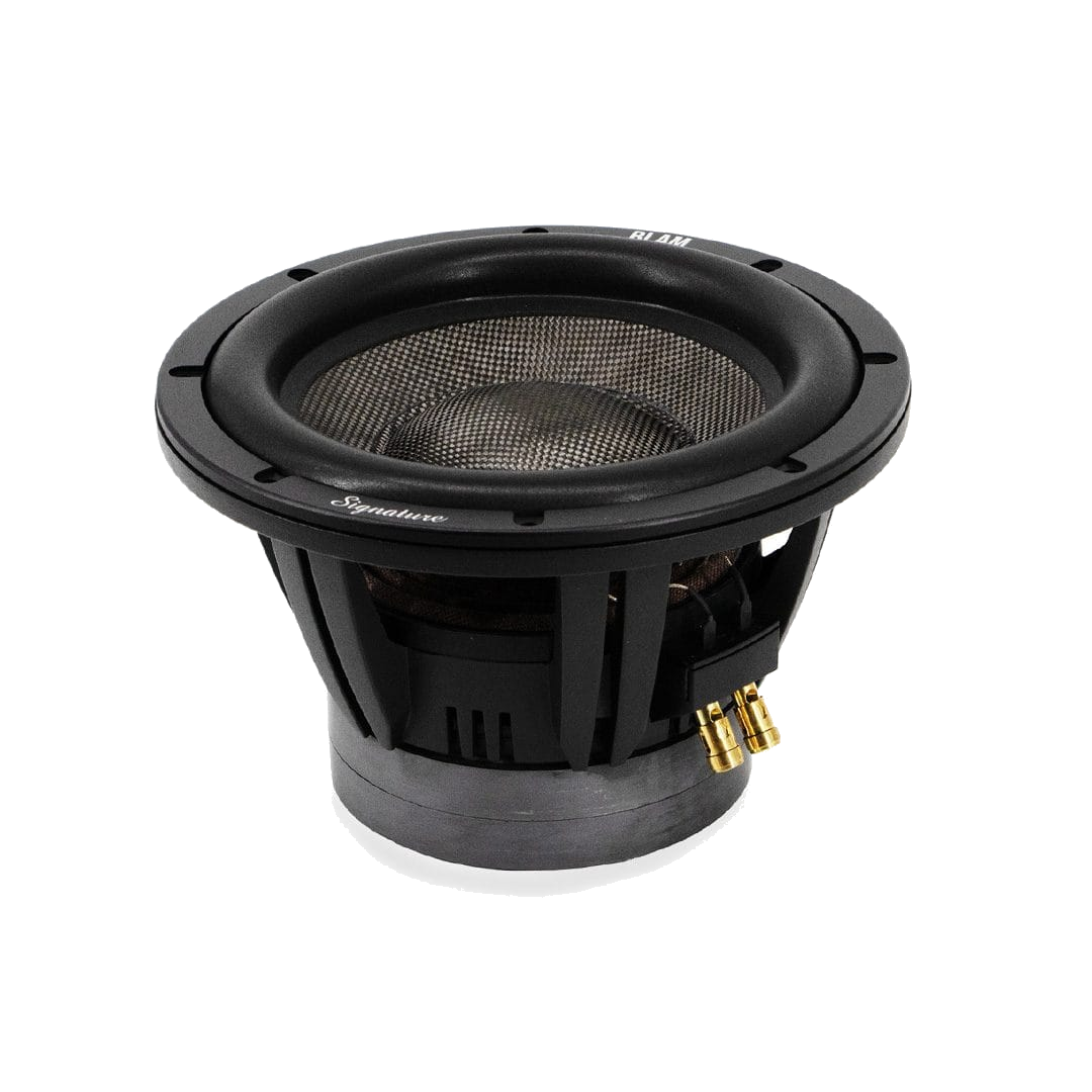BLAM Woofer Super Sub 10 - subwoofer