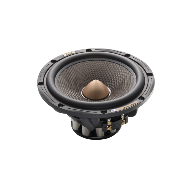 BLAM Woofer WS6 - woofer