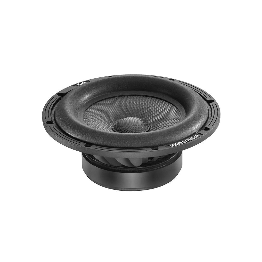 BLAM Woofer WS8 - woofer
